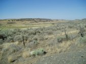 At Soap Lake, I turned east onto SR 28 and headed back to Spokane. Along the way, I photographed more scabland.