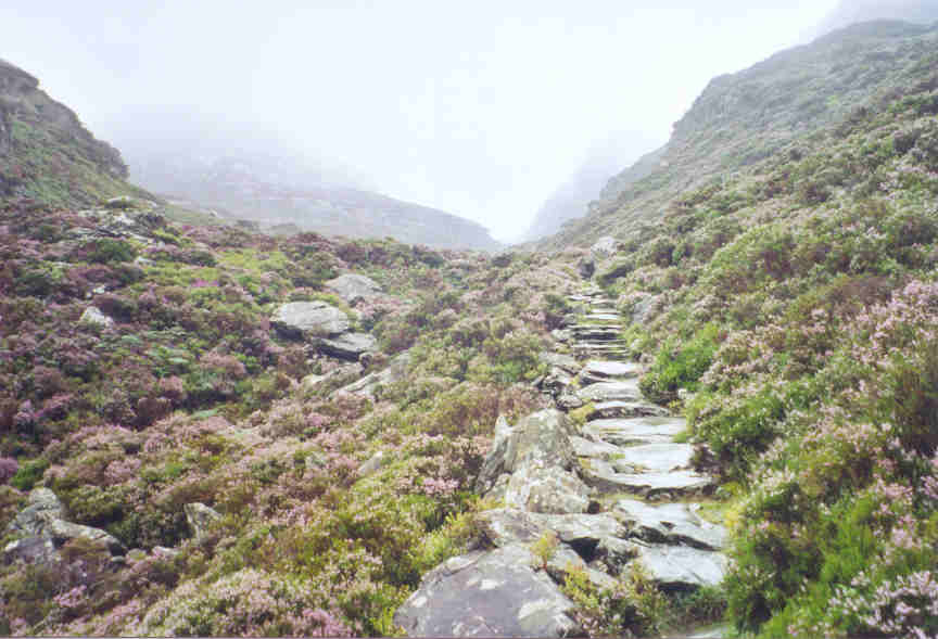 The Roman Steps, which lead through the Rhinogg Mountains