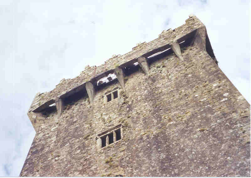 Blarney Castle - the Blarney Stone is at the top of the castle (the center area in this photo)