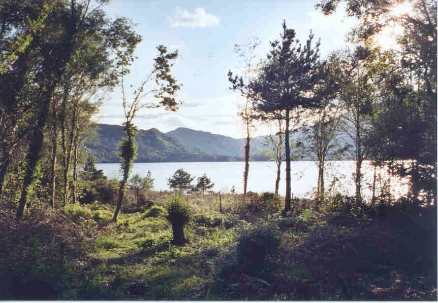 One of the three lakes of Killarney