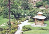 The Japanese Gardens at Powerscourt