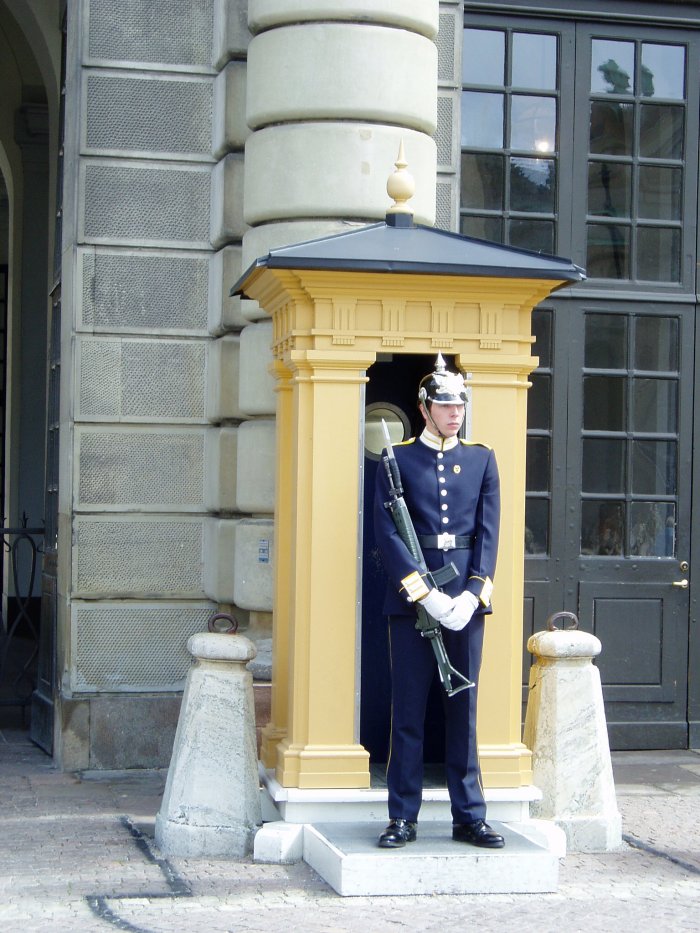 Guarding the Royal Palace