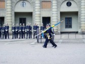 The Royal Guard, parading through the outer courtyard of the palace